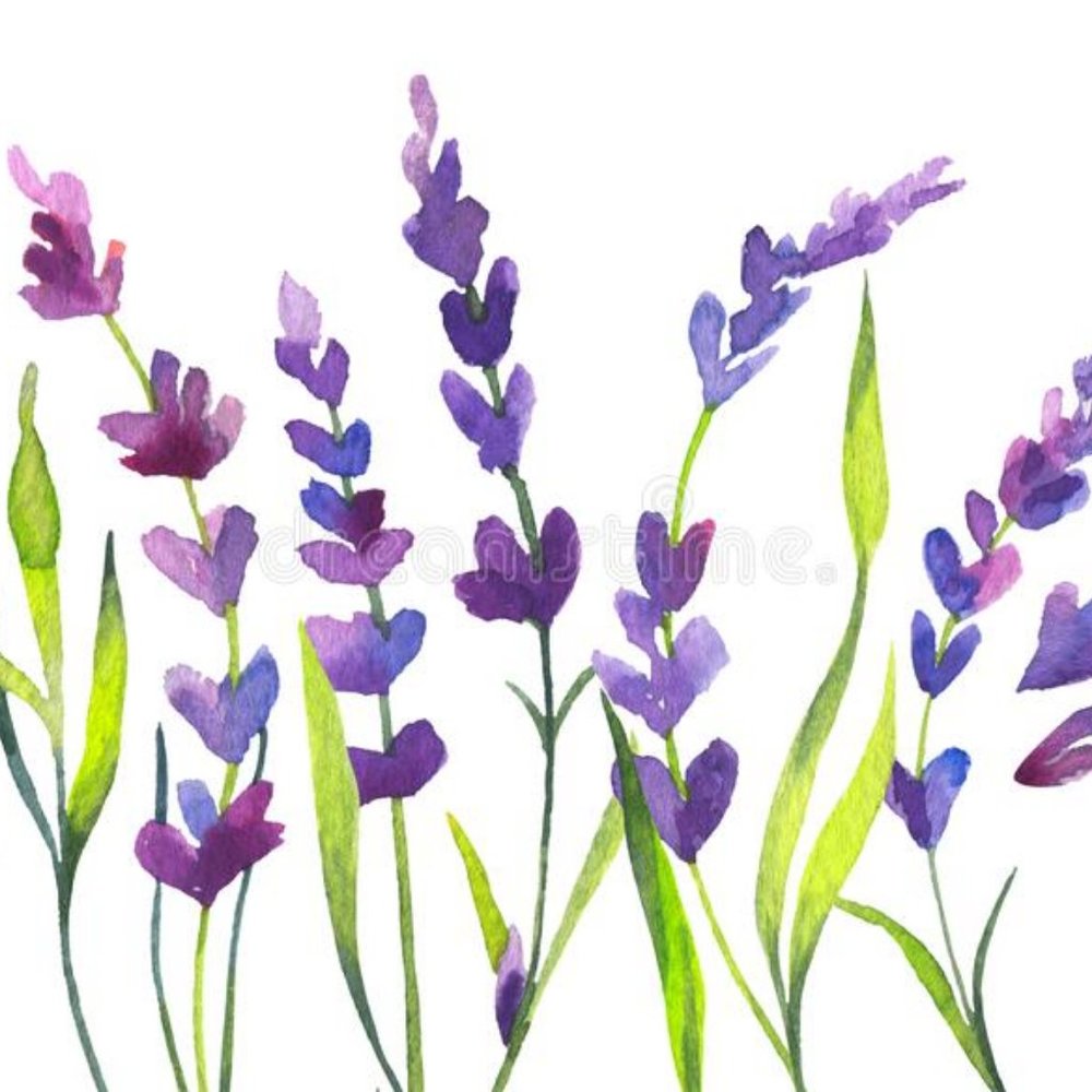 Meet your Posher, Alexa